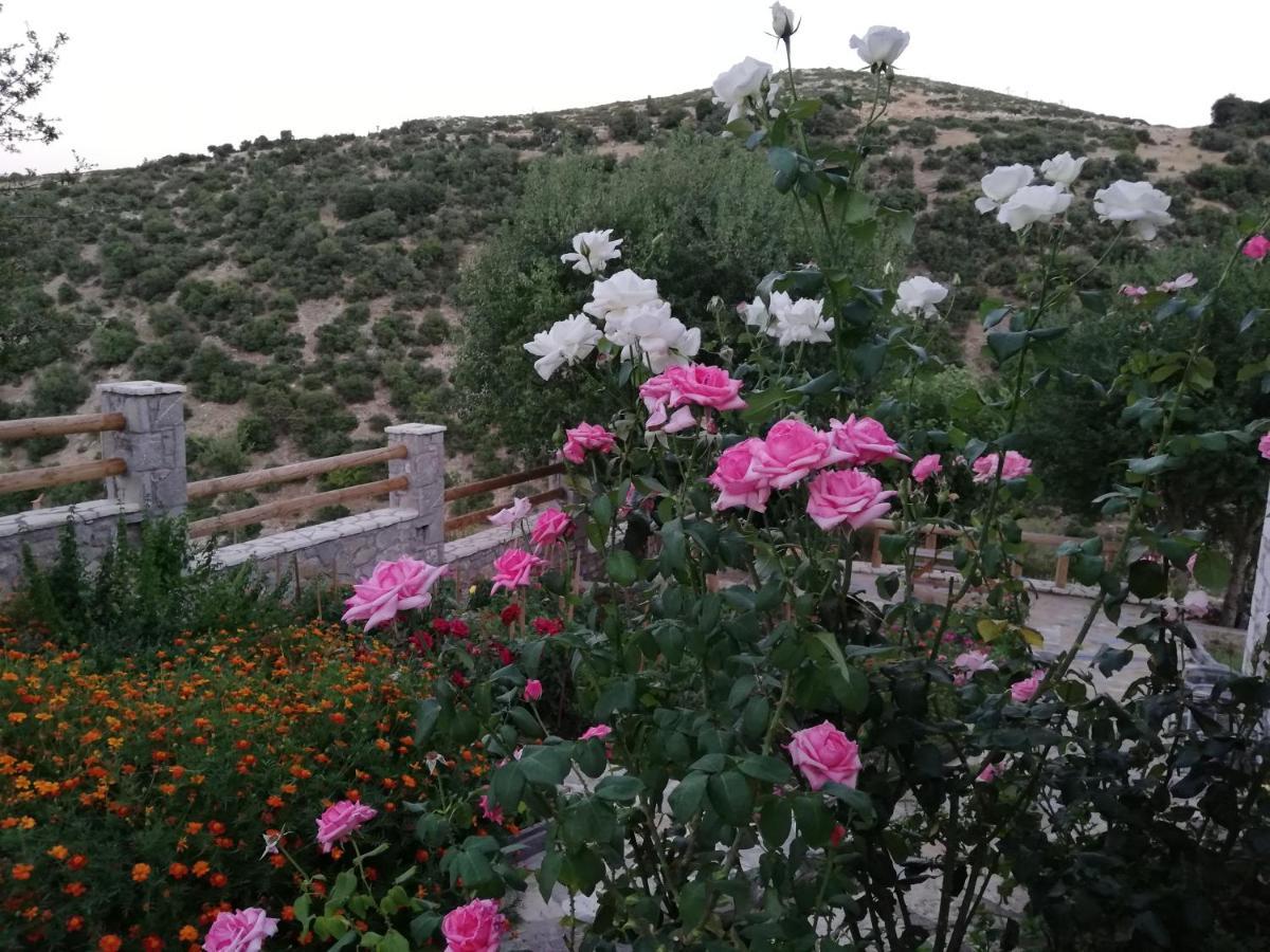 Villa Agno - Βίλα Αγνώ Ano Karies Luaran gambar